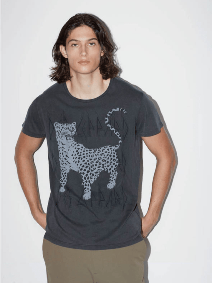 Koksgrå Icôn Def Leppard Herre T-Shirt S 360° ICÔN